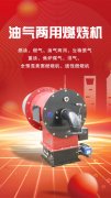提升行業(yè)效率的非標(biāo)燃燒機(jī)定制解決方案